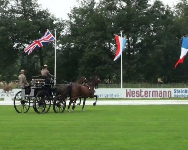 Riesenbeck INTERNATIONAL
Thursday, July 21st 2011
07 Dressage competition CAIO – Pairs