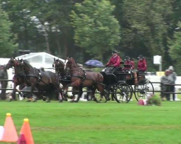 Riesenbeck INTERNATIONAL
Sonntag, 24. Juli 2011
05 Hindernisfahren mit Siegerrunde Zweispänner - CAIO

