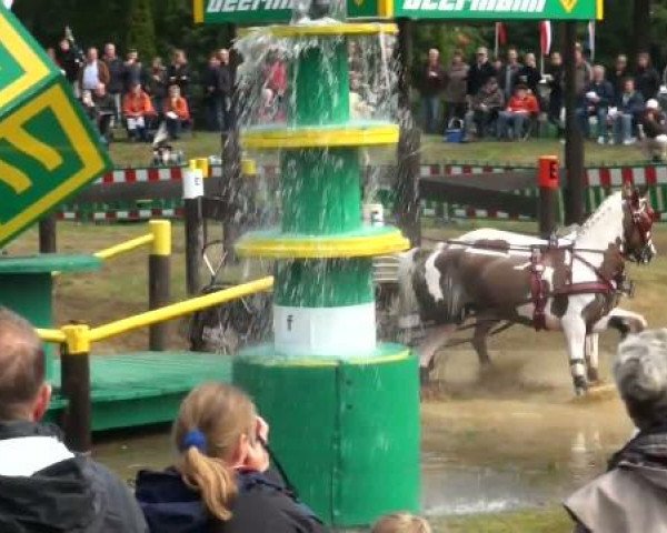 Riesenbeck INTERNATIONAL
Saturday, July 23rd 2011
08 Marathon CAIO-Pairs