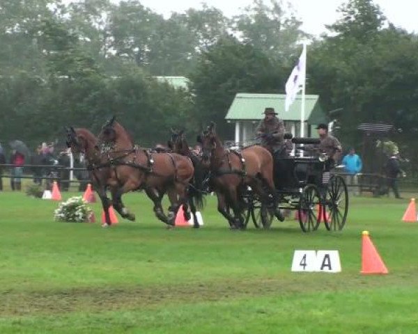 Riesenbeck INTERNATIONAL
Sonntag, 24. Juli 2011
05 Hindernisfahren mit Siegerrunde Zweispänner - CAIO
