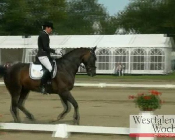 Westfalen-Woche Münster-Handorf
Samstag, 30. Juli 2011
21 Eignungsprüfung Kl. A für Reitpferde - 4+5j. Pferde 
