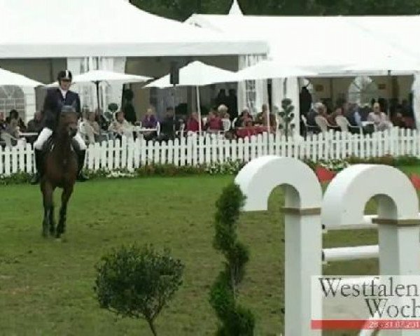 Westfalen-Woche Münster-Handorf
Sonntag, 31. Juli 2011
61 Springprüfung Kl. M** mit Stechen 
