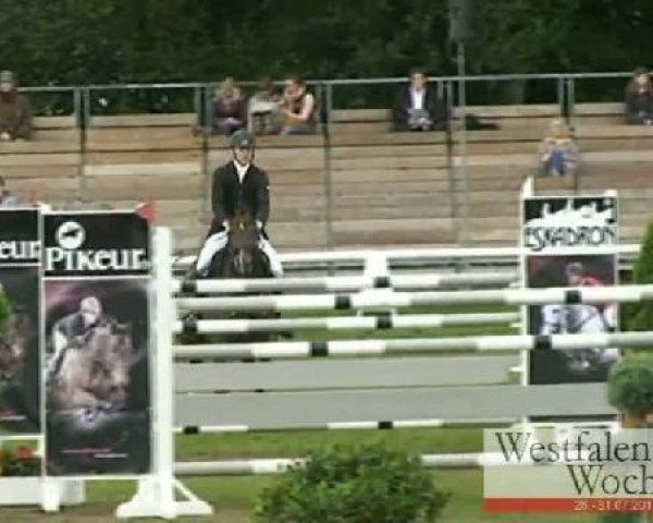 Westfalen-Woche Münster-Handorf
Sonntag, 31. Juli 2011
61 Springprüfung Kl. M** mit Stechen 
