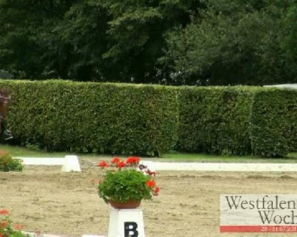 Westfalen-Woche Münster-Handorf
Samstag, 30. Juli 2011
19 Dressurponyprüfung Kl. L - 6jähr. Ponys