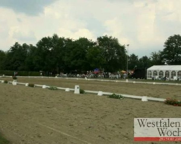 Westfalen-Woche Münster-Handorf
Mittwoch, 27. Juli 2011
14 A Dressurpferdeprüfung Kl. L - 5j. Pferde
