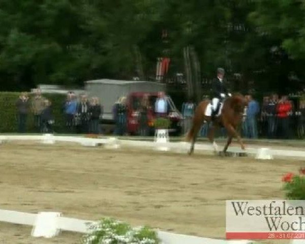 Westfalen-Woche Münster-Handorf
Sonntag, 31. Juli 2011
03 Reitpferdeprüfung - 3j. Pferde 
