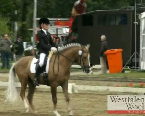 Westfalen-Woche Münster-Handorf
Sonntag, 31. Juli 2011
18 Dressurponyprüfung Kl. A - 5j. Ponys