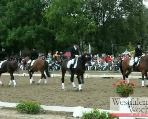 Westfalen-Woche Münster-Handorf
Freitag, 29. Juli 2011
42 Dressurprüfung Kl. L - Kür der Mannschaften 
