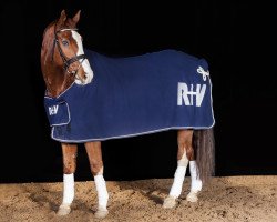 dressage horse Ricaro 5 (Oldenburg, 2000, from Regazzoni)