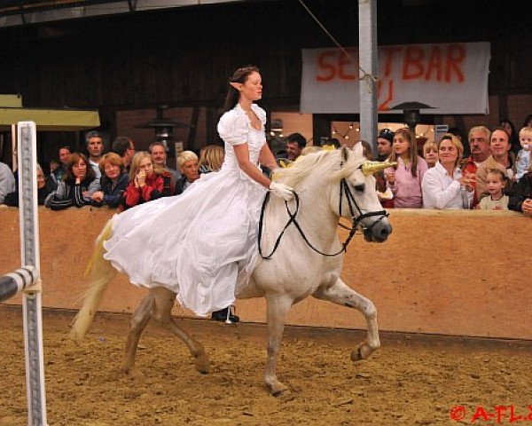 stallion Jauvas (Camargue horse, 1997, from Mars)