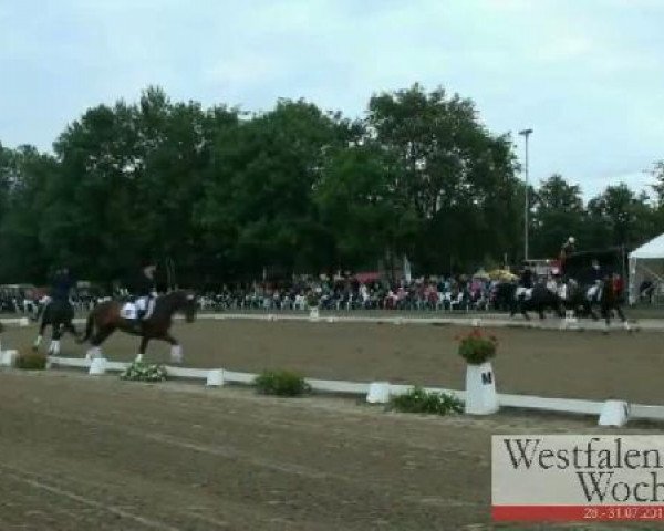 Westfalen-Woche Münster-Handorf
Freitag, 29. Juli 2011
42 Dressurprüfung Kl. L - Kür der Mannschaften