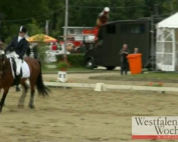 Westfalen-Woche Münster-Handorf
Samstag, 30. Juli 2011
19 Dressurponyprüfung Kl. L - 6jähr. Ponys