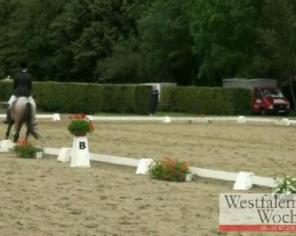Westfalen-Woche Münster-Handorf
Samstag, 30. Juli 2011
19 Dressurponyprüfung Kl. L - 6jähr. Ponys 
