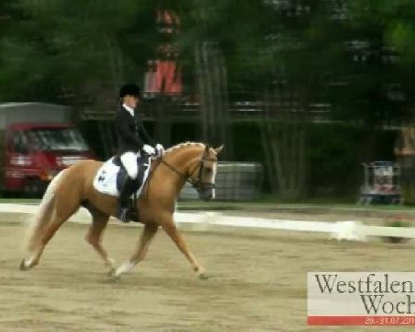 Westfalen-Woche Münster-Handorf
Samstag, 30. Juli 2011
19 Dressurponyprüfung Kl. L - 6jähr. Ponys