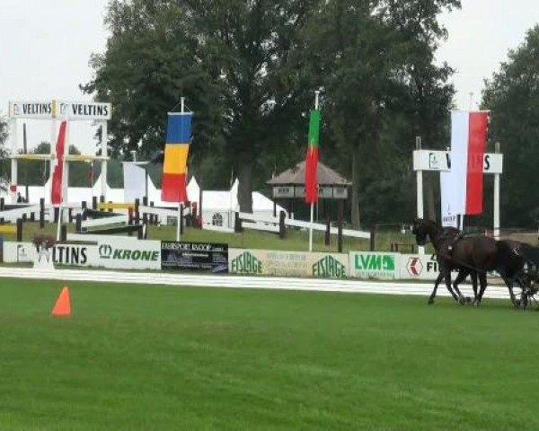 Riesenbeck INTERNATIONAL
Thursday, July 21st 2011
01 Confirmation class Pairs – 1. Competition for the Derby
