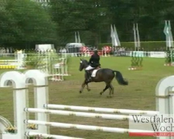 Westfalen-Woche Münster-Handorf
Sonntag, 31. Juli 2011
46 Pony-Springprüfung Kl. A* 
