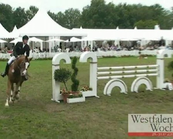 Westfalen-Woche Münster-Handorf
Sonntag, 31. Juli 2011
40 Springprüfung Kl. L 
