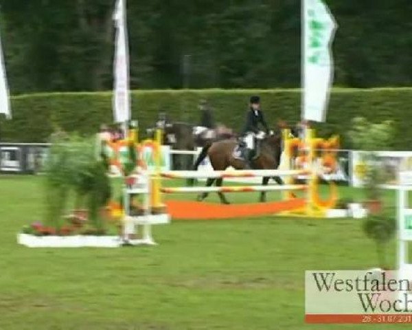 Westfalen-Woche Münster-Handorf
Samstag, 30. Juli 2011
57 Stil-Springprüfung Kl. A** 
