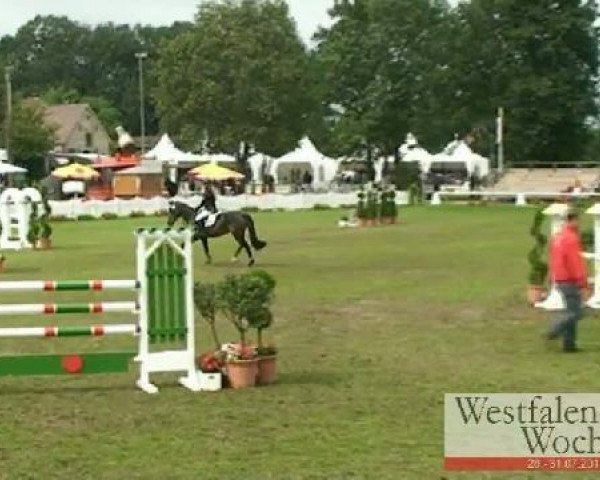 Westfalen-Woche Münster-Handorf
Samstag, 30. Juli 2011
34 Springponyprüfung Kl. A** - 5j. Ponys
