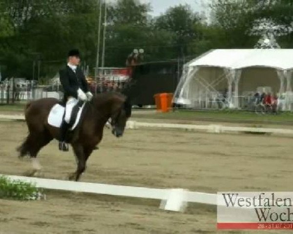 Westfalen-Woche Münster-Handorf
Samstag, 30. Juli 2011
50 Dressurprüfung Kl. M* 
