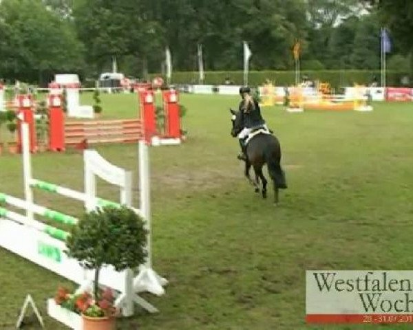Westfalen-Woche Münster-Handorf
Samstag,  30. Juli 2011
34 Springponyprüfung Kl. A** - 5j. Ponys
