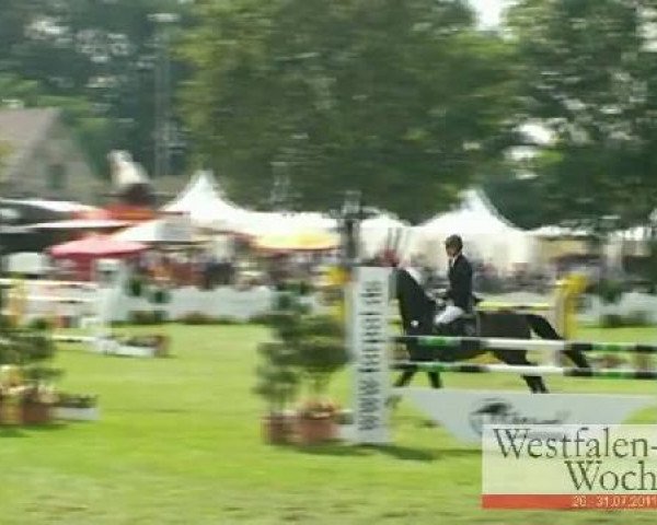 Westfalen-Woche Münster-Handorf
Mittwoch, 27. Juli 2011
28 Springprüfung Kl. M** -6j. Pferde
