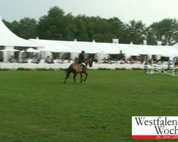 Westfalen-Woche Münster-Handorf
Mittwoch, 27. Juli 2011
63 Springprüfung Kl. S* für 7 - 9jähr. Pferde
