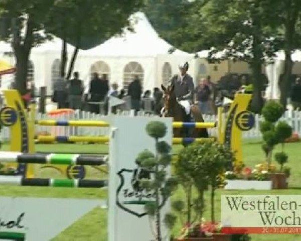 Westfalen-Woche Münster-Handorf
Mittwoch, 27. Juli 2011
26 Springpferdeprüfung Kl. L -5j. Pferde
