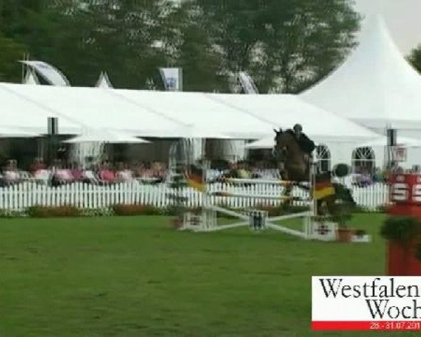 Westfalen-Woche Münster-Handorf
Mittwoch, 27. Juli 2011
63 Springprüfung Kl. S* für 7 - 9jähr. Pferde
