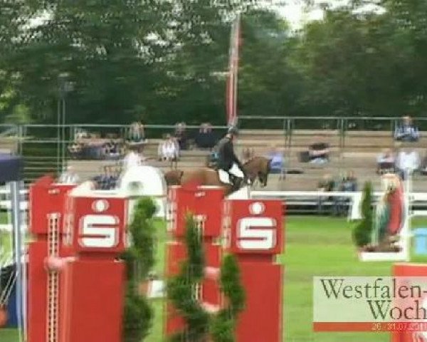 Westfalen-Woche Münster-Handorf
Mittwoch, 27. Juli 2011
29 Springpferdeprüfung Kl. M* -6j. Pferde
