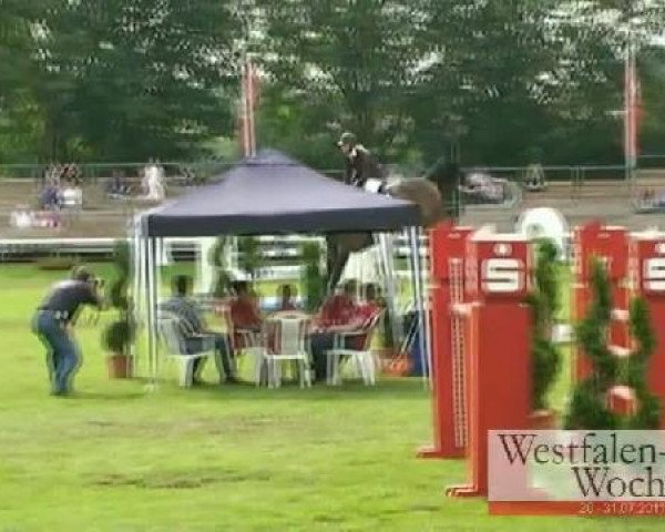 Westfalen-Woche Münster-Handorf
Mittwoch, 27. Juli 2011
29 Springpferdeprüfung Kl. M* -6j. Pferde