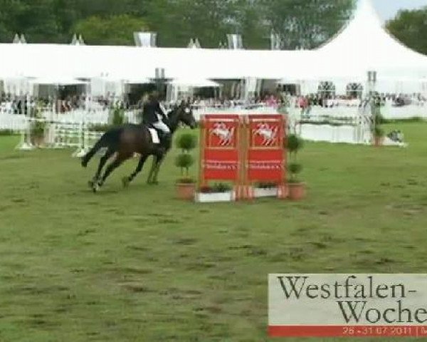 Westfalen-Woche Münster-Handorf
Freitag, 29. Juli 2011
59 Springprüfung Kl. A**