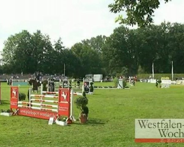 Westfalen-Woche Münster-Handorf
Mittwoch, 27. Juli 2011
29 Springpferdeprüfung Kl. M* -6j. Pferde