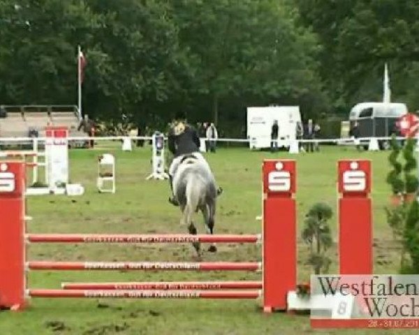 Westfalen-Woche Münster-Handorf
Samstag, 30. Juli 2011
60 Springprüfung Kl. M*

