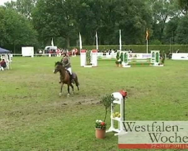 Westfalen-Woche Münster-Handorf
Freitag, 29. Juli 2011
58 Pony-Springponyprüfung Kl. A*