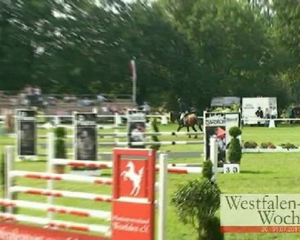 Westfalen-Woche Münster-Handorf
Mittwoch, 27. Juli 2011
28 Springprüfung Kl. M** -6j. Pferde