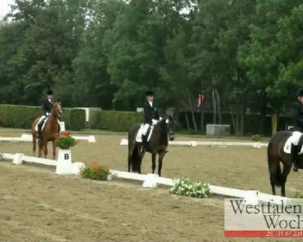 Westfalen-Woche Münster-Handorf
Samstag, 30. Juli 2011
44 Pony-Dressurprüfung Kl. A für Mannschaften 
