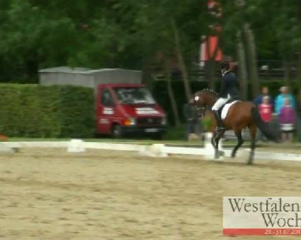 Westfalen-Woche Münster-Handorf
Samstag, 30. Juli 2011
19 Dressurponyprüfung Kl. L - 6jähr. Ponys 
