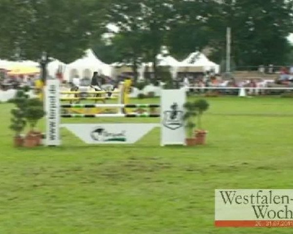 Westfalen-Woche Münster-Handorf
Mittwoch, 27. Juli 2011
28 Springprüfung Kl. M** -6j. Pferde
