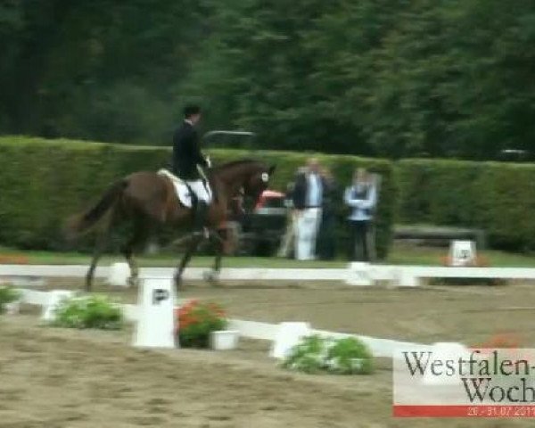 Westfalen-Woche Münster-Handorf
Mittwoch, 27. Juli 2011
15 Dressurpferdeprüfung Kl. M* – 6j. Pferde
