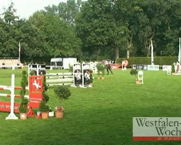 Westfalen-Woche Münster-Handorf
Mittwoch, 27. Juli 2011
26 Springpferdeprüfung Kl. L -5j. Pferde
