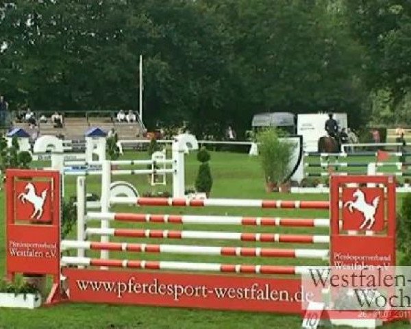 Westfalen-Woche Münster-Handorf
Mittwoch, 27. Juli 2011
26 Springpferdeprüfung Kl. L -5j. Pferde
