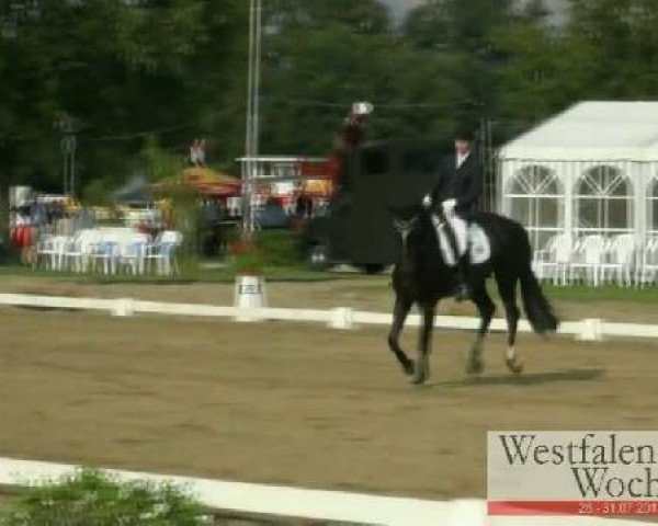 Westfalen-Woche Münster-Handorf
Mittwoch, 27. Juli 2011
14 Dressurpferdeprüfung Kl. L – 5j. Pferde
