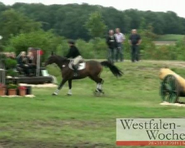 Westfalen-Woche Münster-Handorf
Freitag, 29. Juli 2011
23 Geländeprüfung Kl.L
