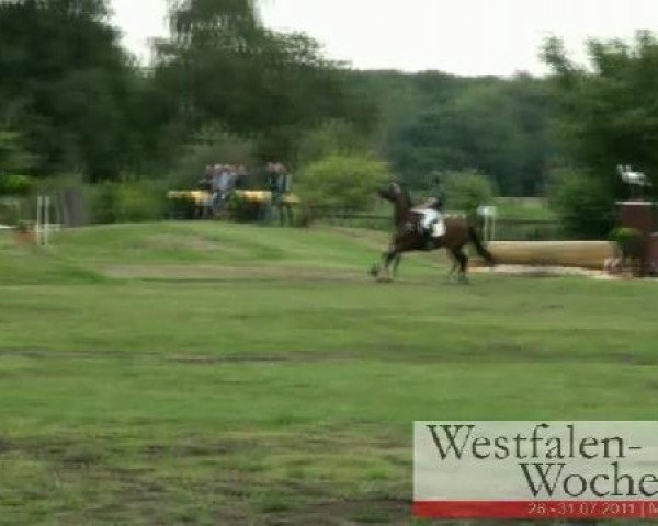 Westfalen-Woche Münster-Handorf
Freitag, 29. Juli 2011
23 Geländeprüfung Kl.L