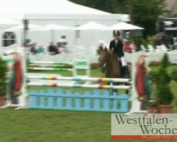 Westfalen-Woche Münster-Handorf
Freitag, 29. Juli 2011
58 Pony-Springponyprüfung Kl. A*
