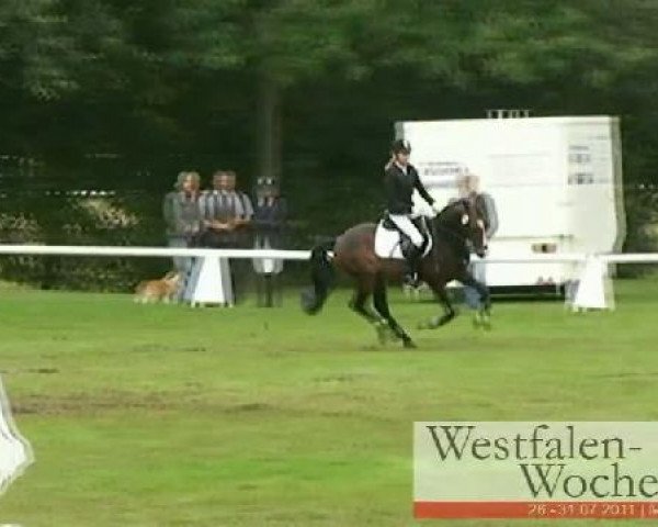 Westfalen-Woche Münster-Handorf
Freitag, 29. Juli 2011
32 Springponyprüfung Kl. A** - 5 bis 6j. Ponys