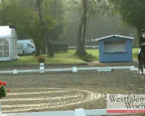 Westfalen-Woche Münster-Handorf
Mittwoch, 27. Juli 2011
13 Dressurpferdeprüfung Kl. L - 5- und 6j. Pferde
