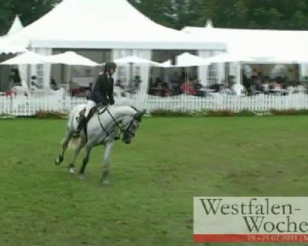 Westfalen-Woche Münster-Handorf
Freitag, 29. Juli 2011
59 Springprüfung Kl. A**