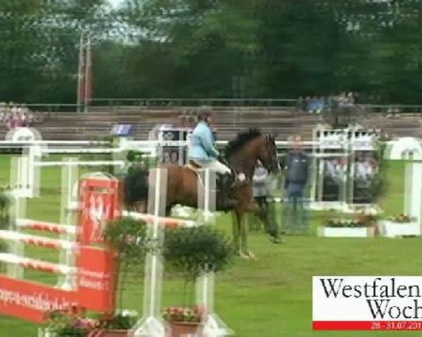Westfalen-Woche Münster-Handorf
Donnerstag, 28. Juli 2011
62 Springprüfung Kl. M**für 6-8jähr. Pferde
